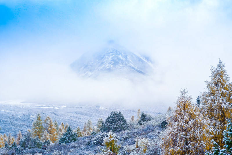 2025影像盤點 | 與山河同呼吸——攝影師 張雲霞