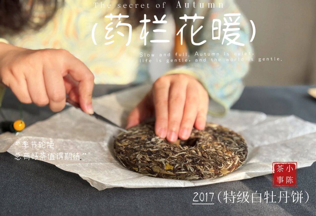 幾千塊的茶葉，別毀在幾毛的密封袋上！茶葉密封袋，你選對了嗎？