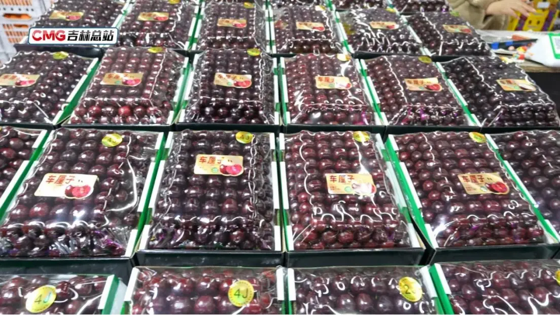 元旦假期長春水果花卉市場購銷兩旺 節日消費市場暖意濃