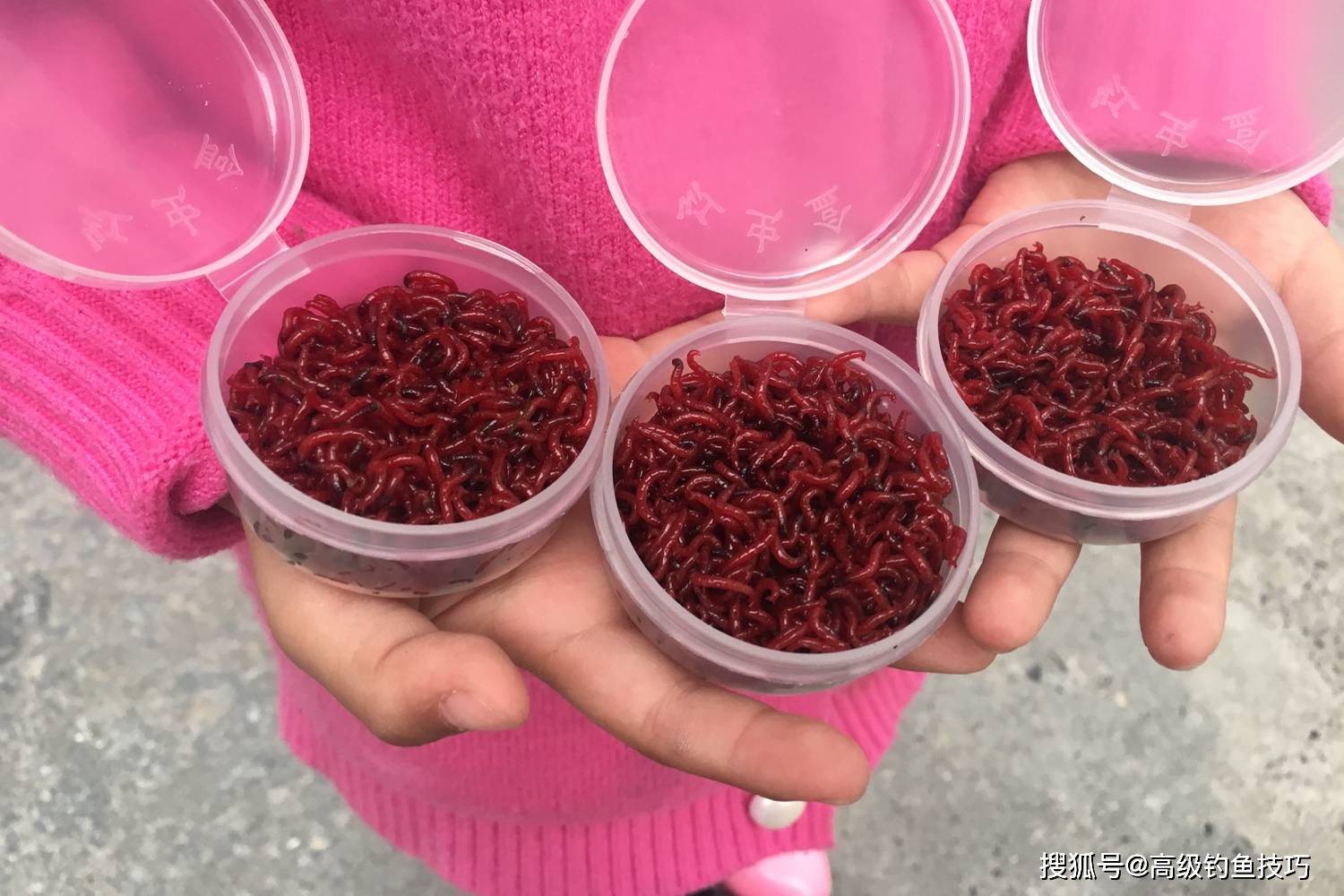 原創冬季野釣的4個垂釣策略