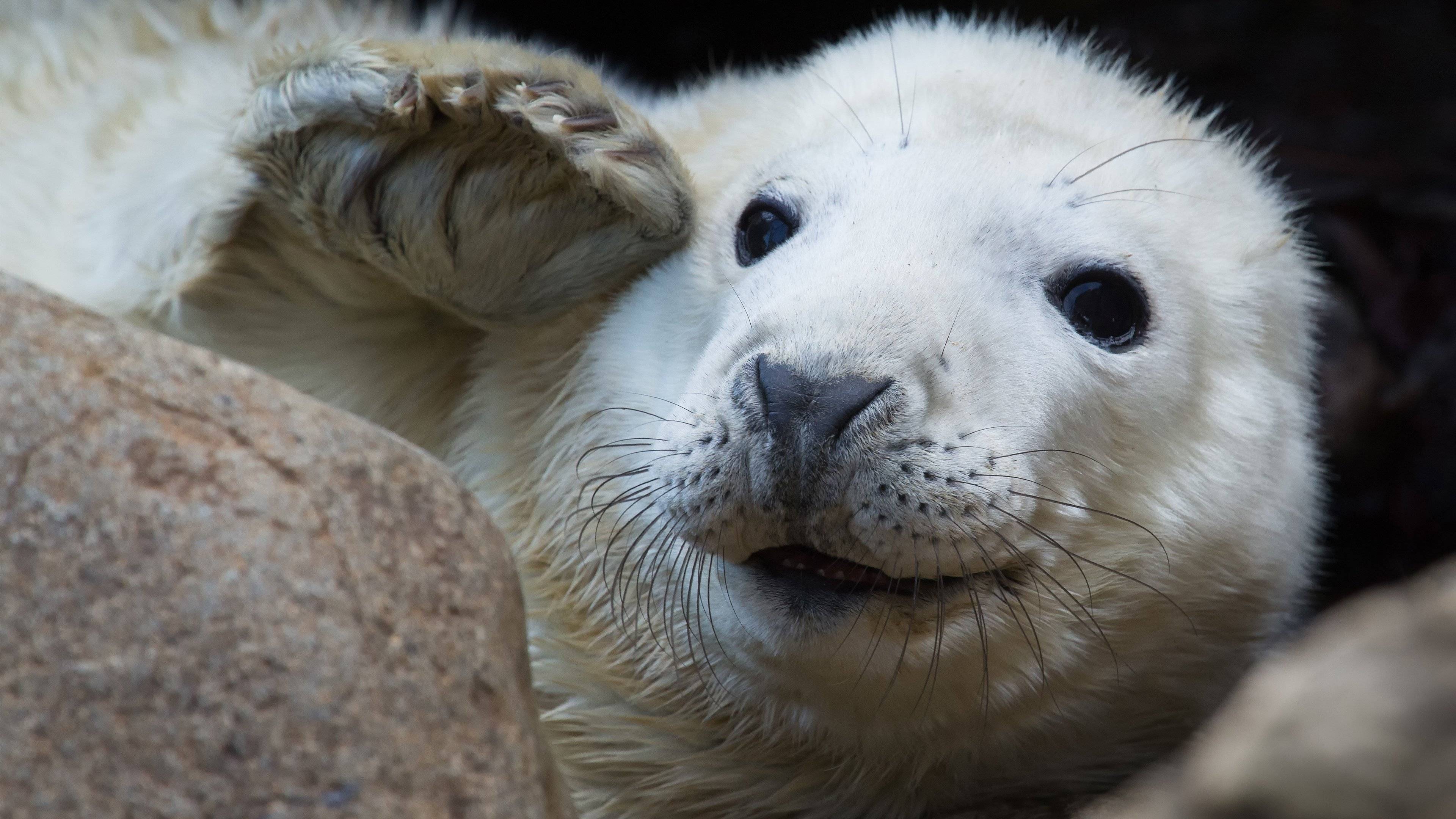 在職研究生上課方式,在職研究生週末上課嗎