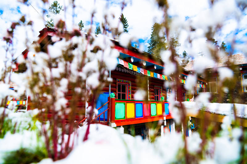 2025影像盤點 | 與山河同呼吸——攝影師 張雲霞