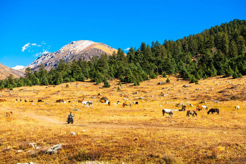 2025影像盤點 | 與山河同呼吸——攝影師 張雲霞