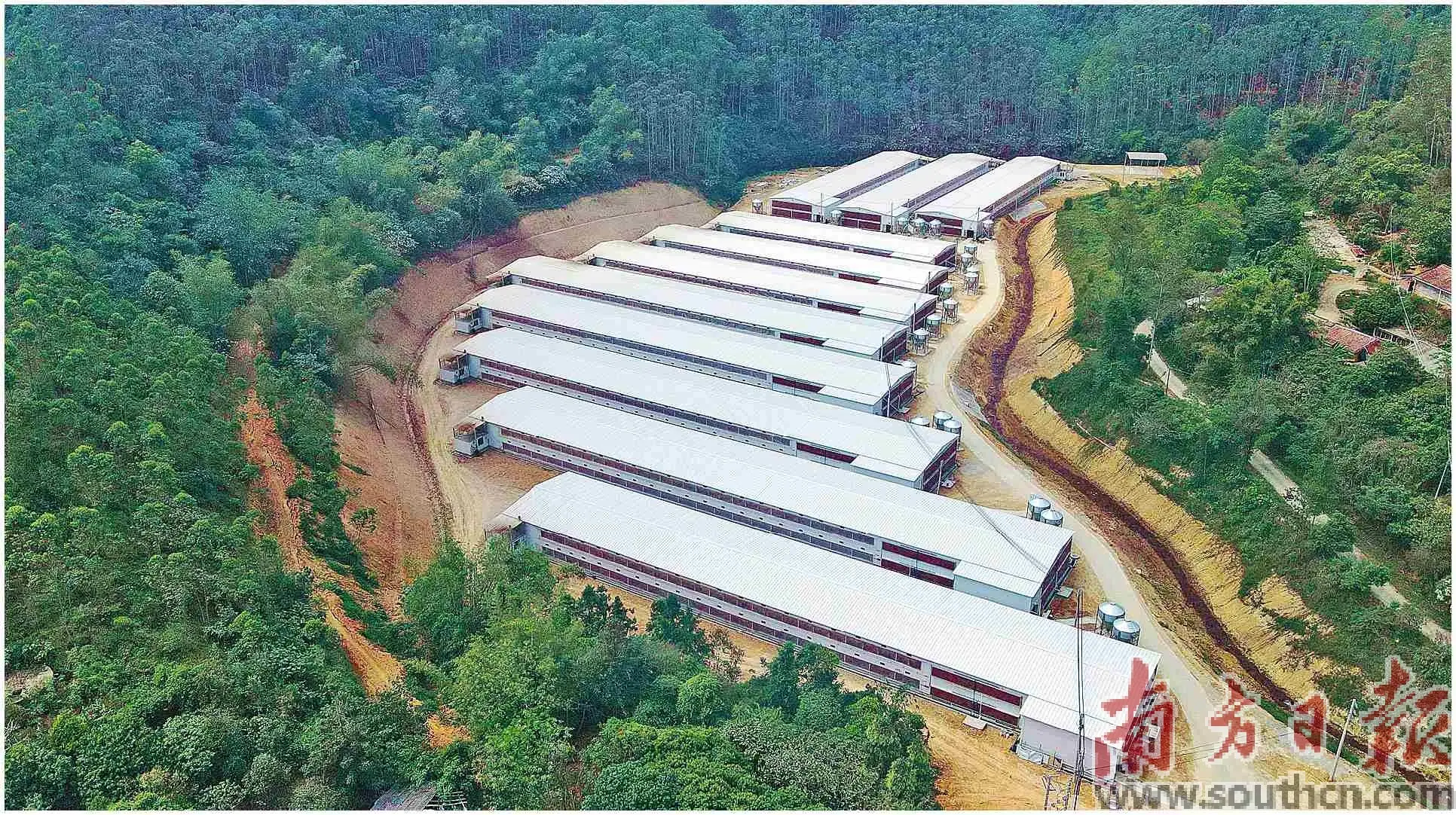 新興畜牧業跑出“加速度”