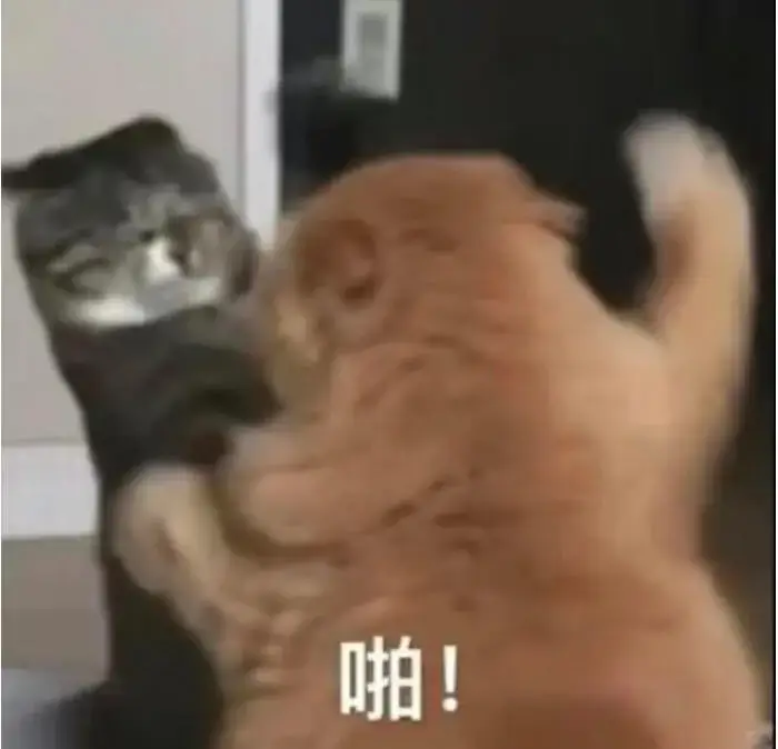 打了2009天的社羣團購，還是拼多多笑到了最後。