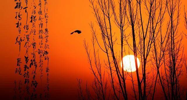 王梓辰：嚮往（詩歌）