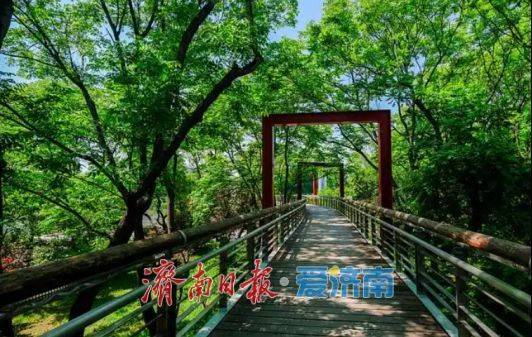 收藏！在泉城坐著地鐵逛公園最新攻略來啦