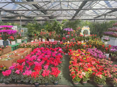 收藏！在泉城坐著地鐵逛公園最新攻略來啦