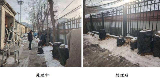 接訴即辦——枯樹纏線存隱患，快速處置護民安