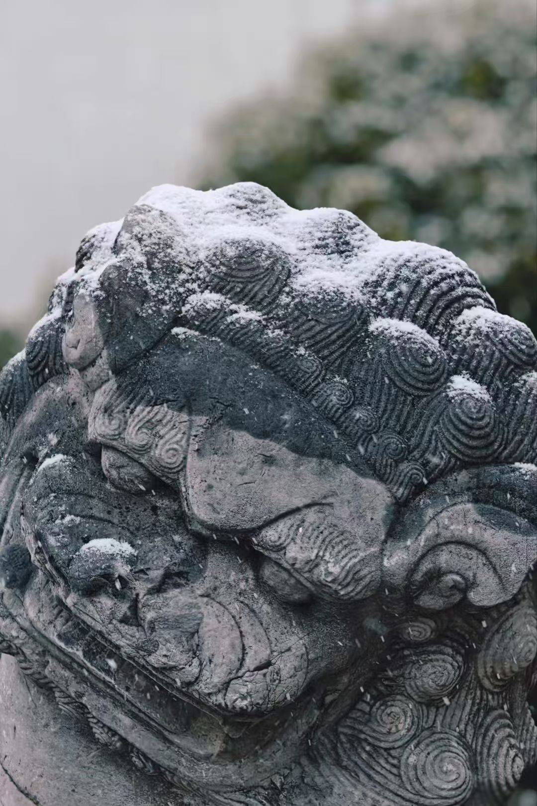 蘇州降雪！山塘中心小學校雪景美如詩畫