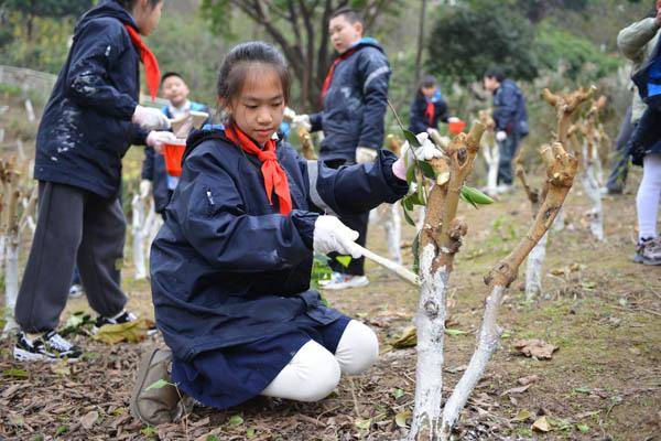 荒坡變課堂 這所小學創新特色勞動育人模式