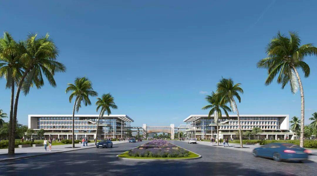 資本抓緊佈局海南！“留學海南”新時代即將到來