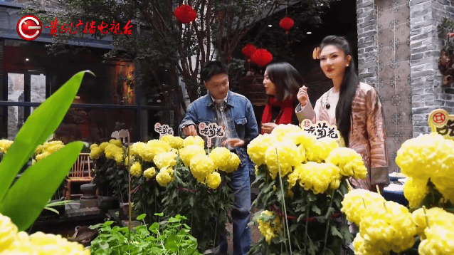 粵桂黔過大年丨“搵食”小分隊喝茶、看戲、吃美食，過年一起尋味順德