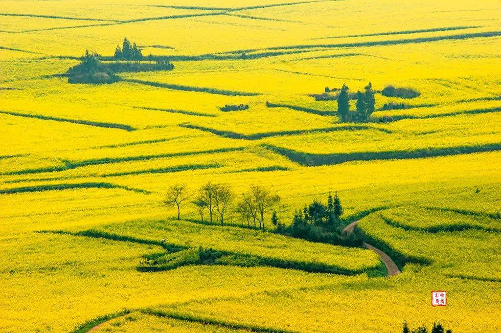 【國際旅遊攝影網】推薦住宿羅平螺絲田旭升客棧