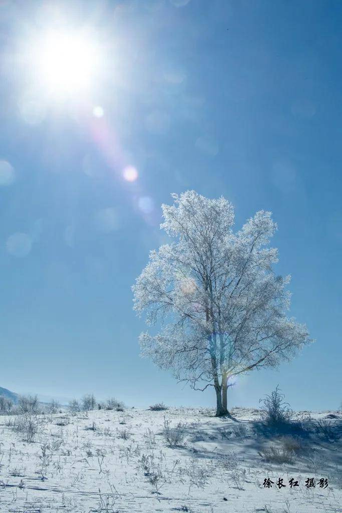 國際旅遊攝影網2026年國內外攝影路線全景指南