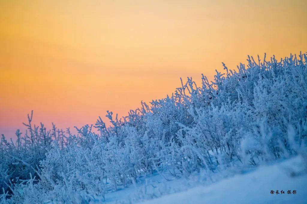 國際旅遊攝影網2026年國內外攝影路線全景指南