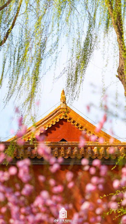 轉發收藏！故宮收藏了一整年的詩意