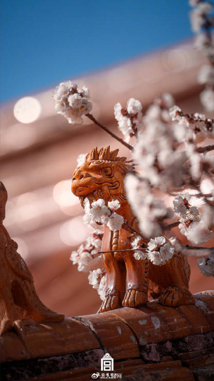 轉發收藏！故宮收藏了一整年的詩意