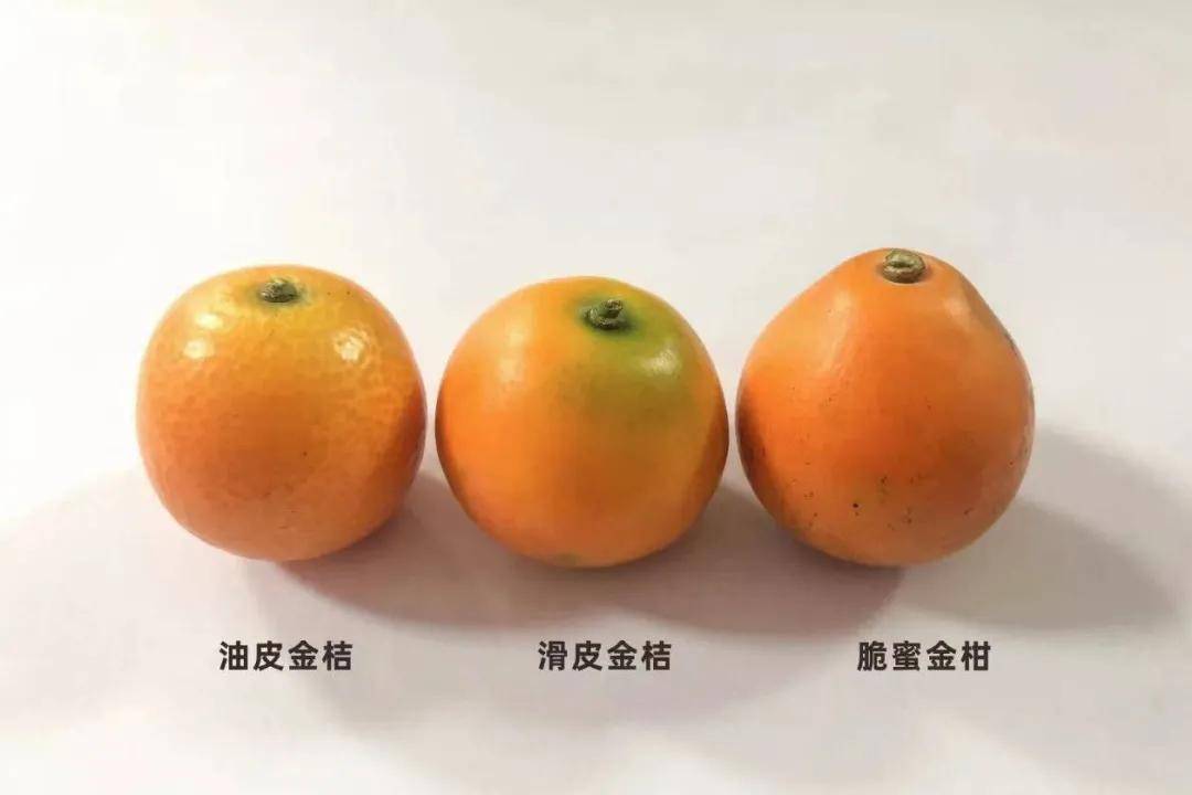 快放假了，美食公司都買些什麼好吃年貨回家？