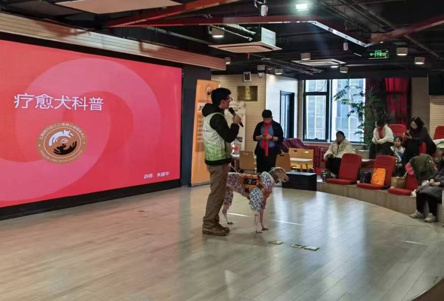 詩詞+非遺+萌寵，七寶鎮未保站這場迎新活動讓孩子玩中學、學中樂