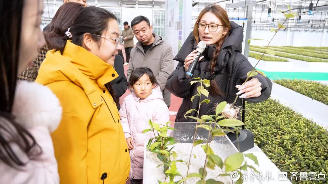 “研學日照 向陽成長” 寒假研學旅遊交流推廣活動舉辦