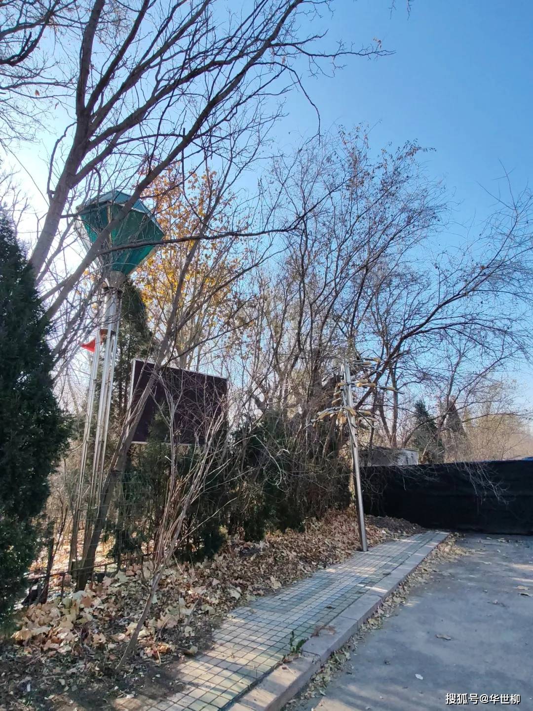 記錄德州：探秘德州曾經最火的旅遊勝地——大雁島，還有東山再起的機會嗎？