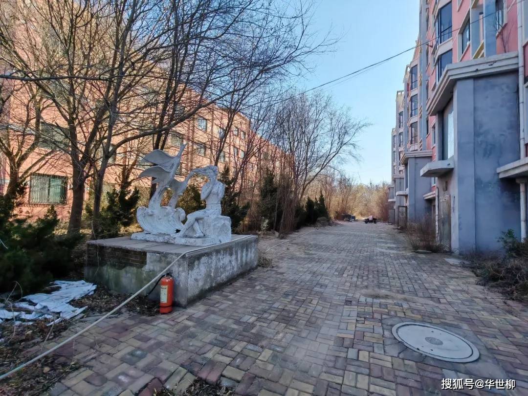 記錄德州：探秘德州曾經最火的旅遊勝地——大雁島，還有東山再起的機會嗎？