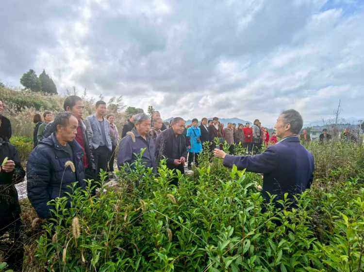 重慶秀山：精準賦能穩就業 水庫移民端牢“技能飯碗”