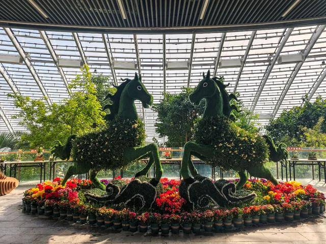 2026年新春水仙花展暨水仙雕刻藝術展亮相濟南公園