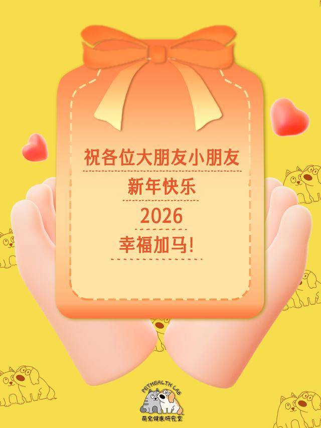 鏟屎官收藏！春節貓咪留守應急清單，對照準備