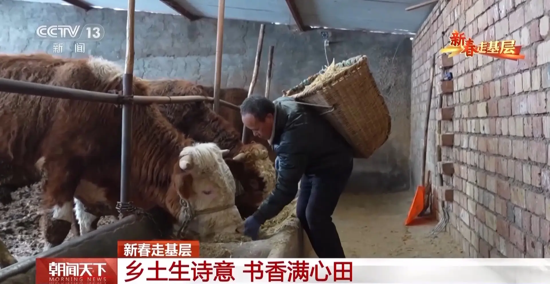 新春走基層丨詩歌為犁 文學為種 木蘭書院在黃土坡上耕書香