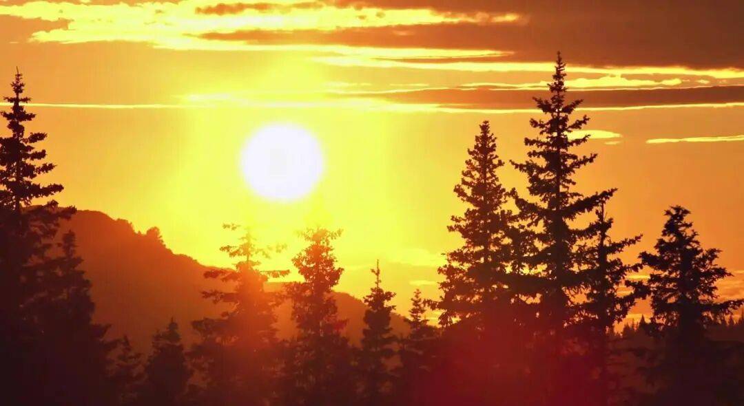 不能坐在自己的井口來觀教育這片天