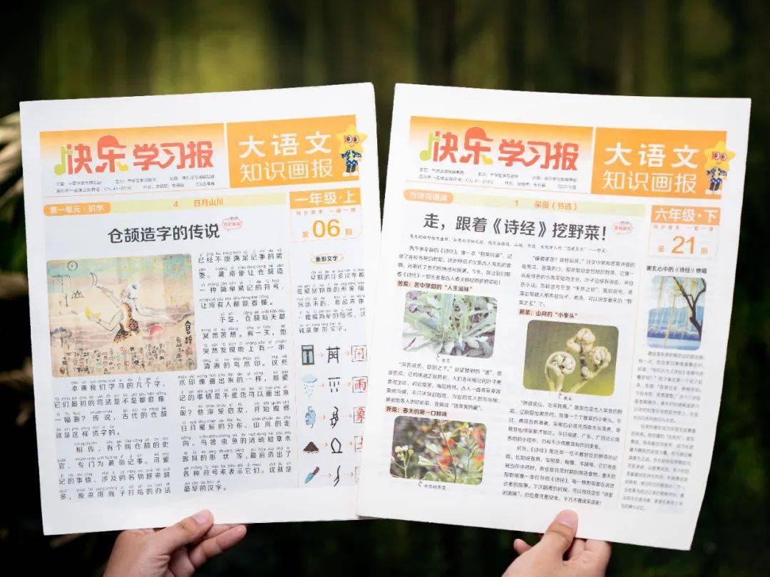 新的隱形攀比，正在小學悄悄流行！老師從來不說，但家長要知道