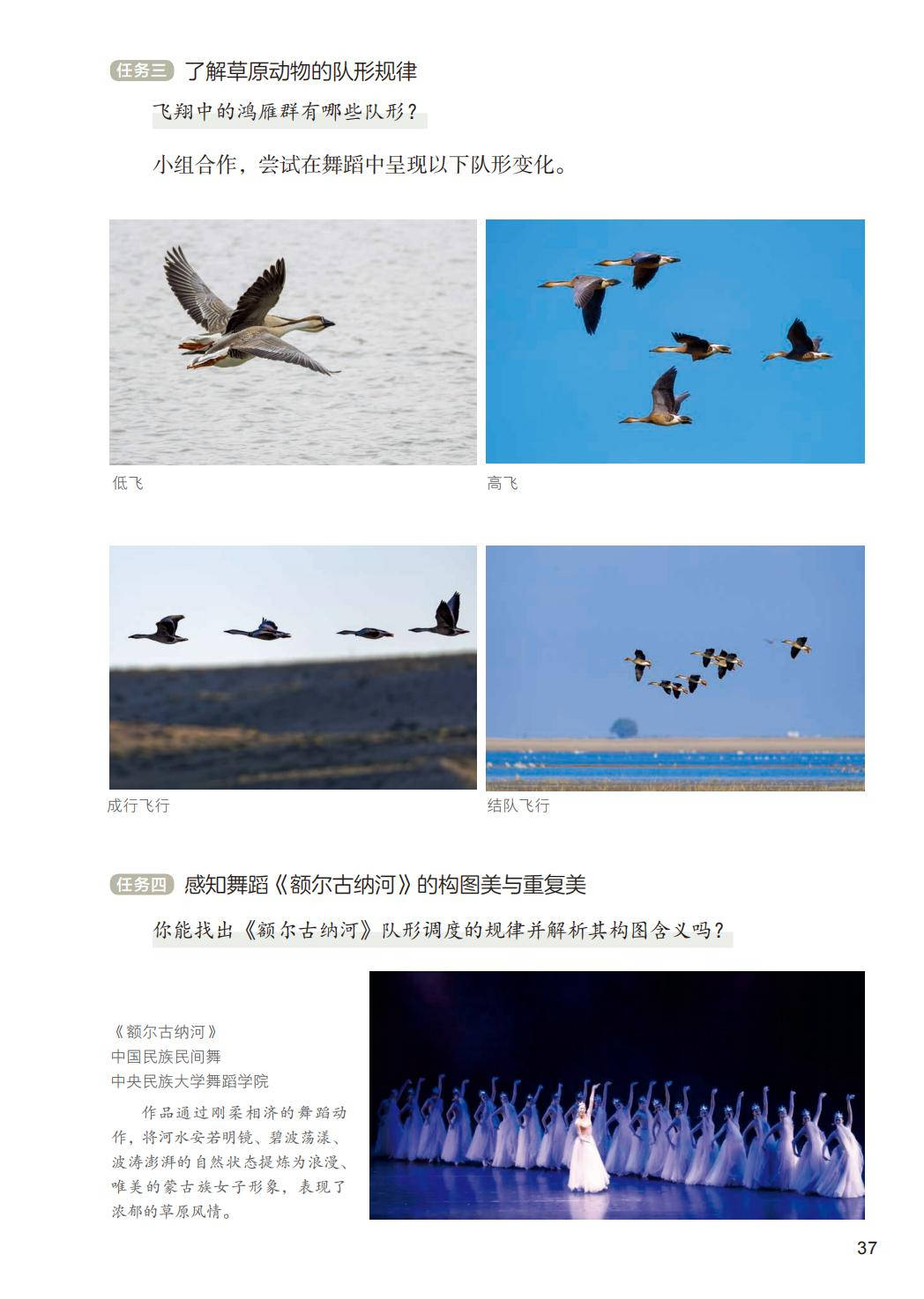 2026人美版八年級舞蹈(下冊)電子課本(PDF版新教材)