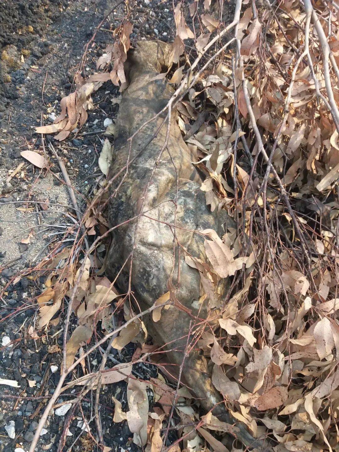 離婚出走20年，她卻被罵「女性叛徒」