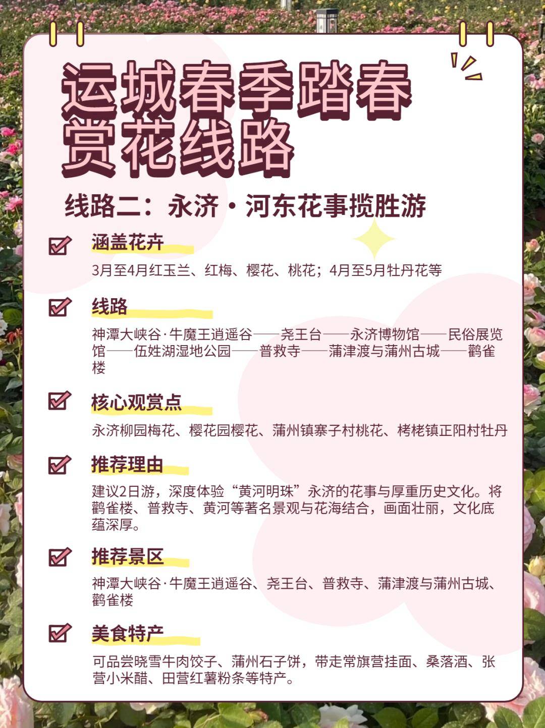 美景+美食！運城踏春賞花路線上新！5條供選！