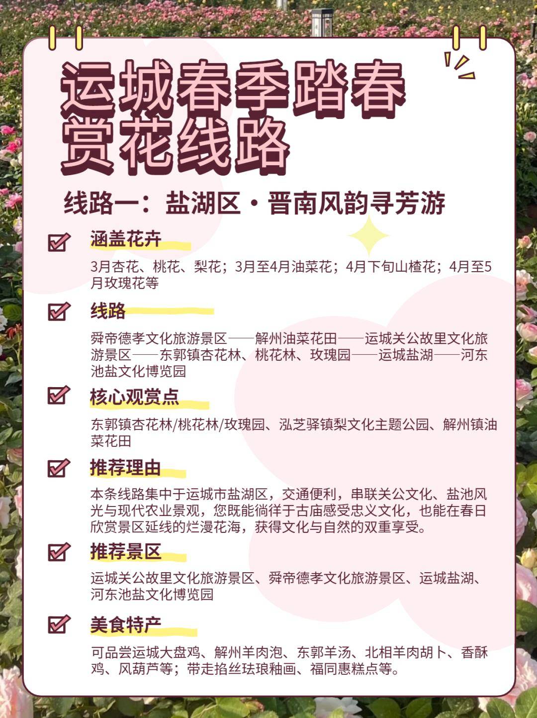 美景+美食！運城踏春賞花路線上新！5條供選！