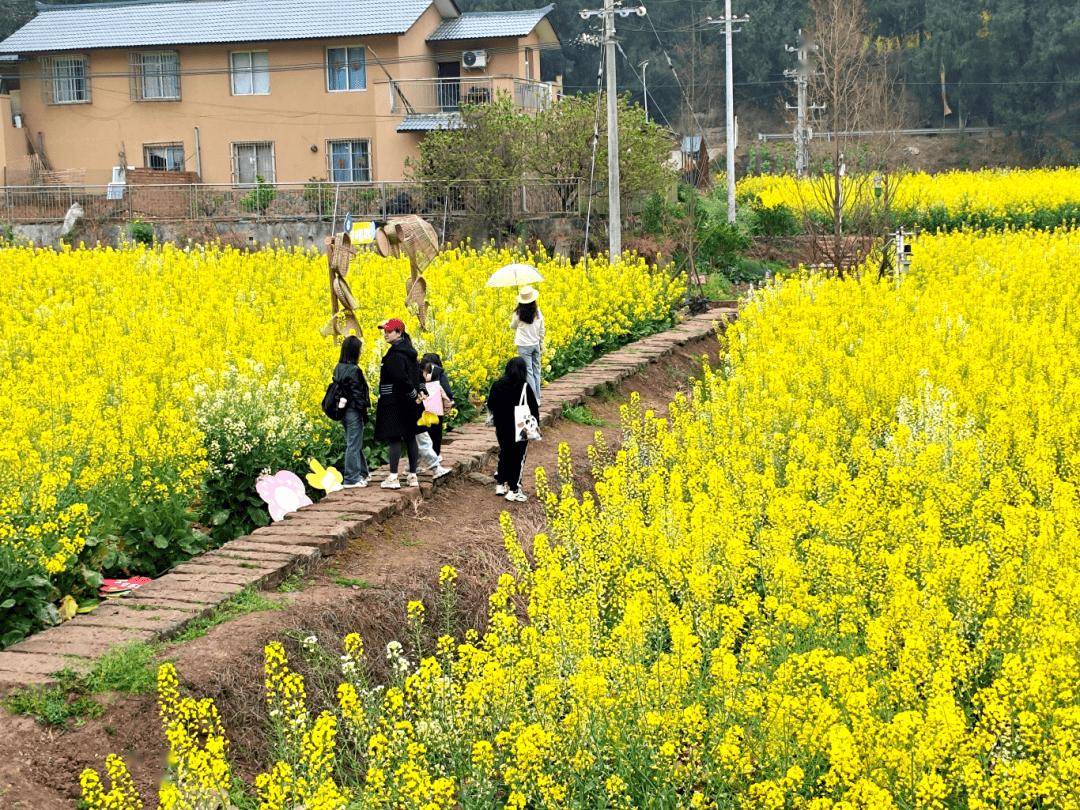 石鍾鎮前鋒村：春日盛景啟用鄉村旅遊新動能