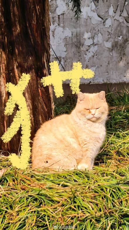 用八筆漢字收藏北京春日