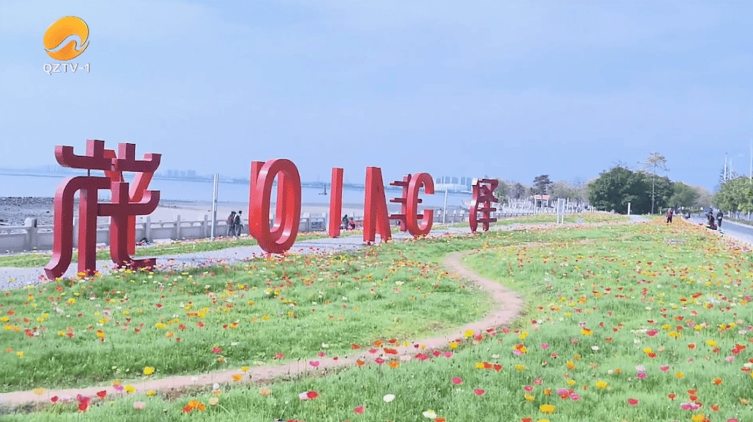 收藏！泉州春日賞花去哪裡？花期+地址全攻略