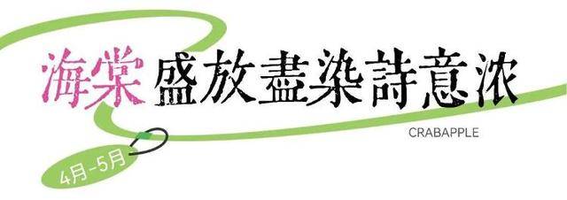 速收藏！棗莊臺兒莊古城春之花影與夜燈，錯過再等一年喲！