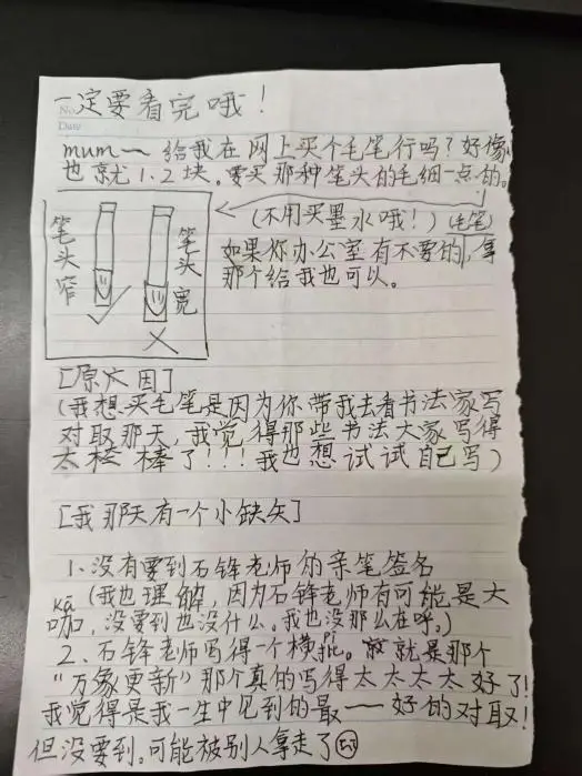 廣西巴馬“永珍更新”書法種子計劃讓希望在筆墨間相傳