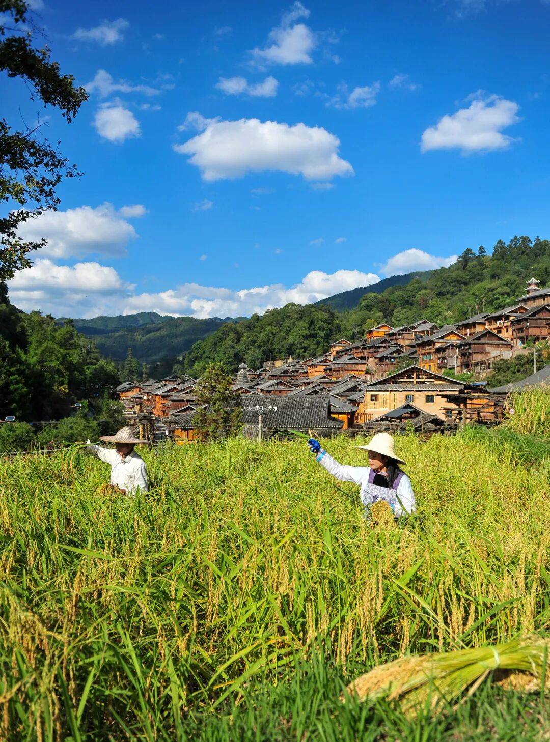 雕刻於喀斯特天地間的貴州村落（上）