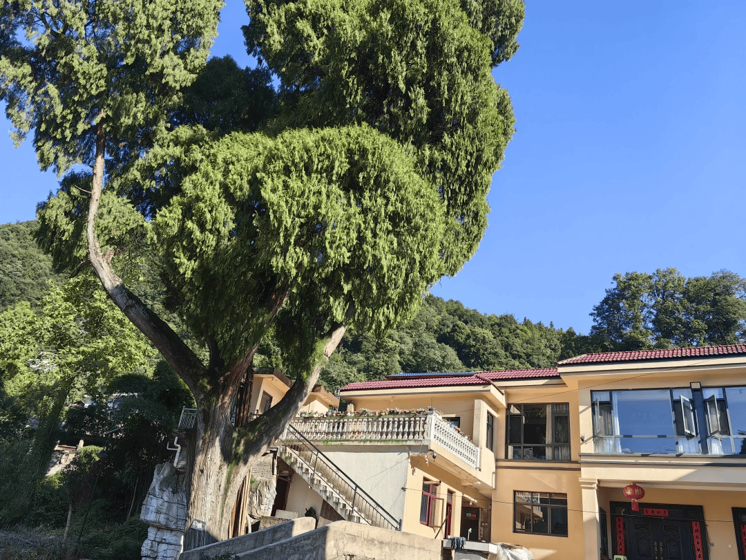 春假來烏當：在詩意棲息地看花賞景品美食……