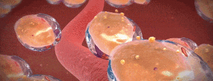 女性最佳“絕經期”已公佈，不是50歲，而是這個數，越接近越健康!