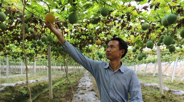 原創農民在農村種植致富1年掙30萬，他分享農業經驗，歡迎收藏！