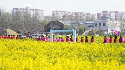 4月12日來楊凌！奔跑、花海、美食，全安排！