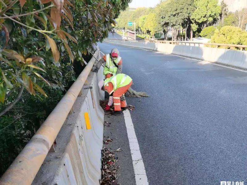 滇風對決 | 爭做春城美容師！榜樣力量在環衛群體激盪起奮進共鳴