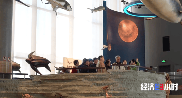 “熱門課程”拼手速 老年教育成服務消費新風口