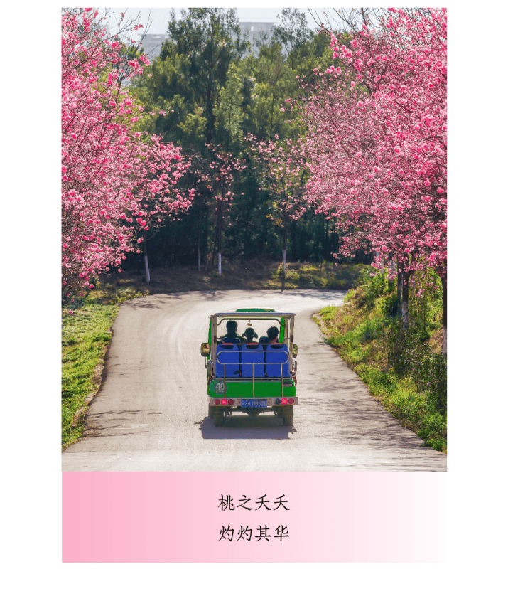 當用中國傳統色開啟“湄公河旅遊”，原來風景可以這麼詩意~